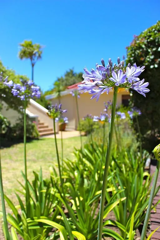 Somerset Hill Somerset West